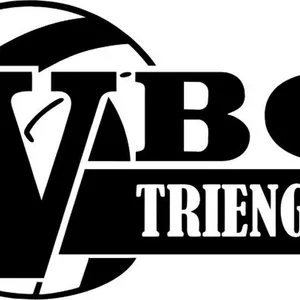 Club Logo VBC Triengen 1