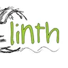 Club Logo VBC Linth 1