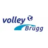 Club Logo Volley Brugg 1