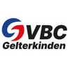 Club Logo VBC Gelterkinden H3