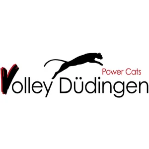Club Logo Volley Düdingen F23